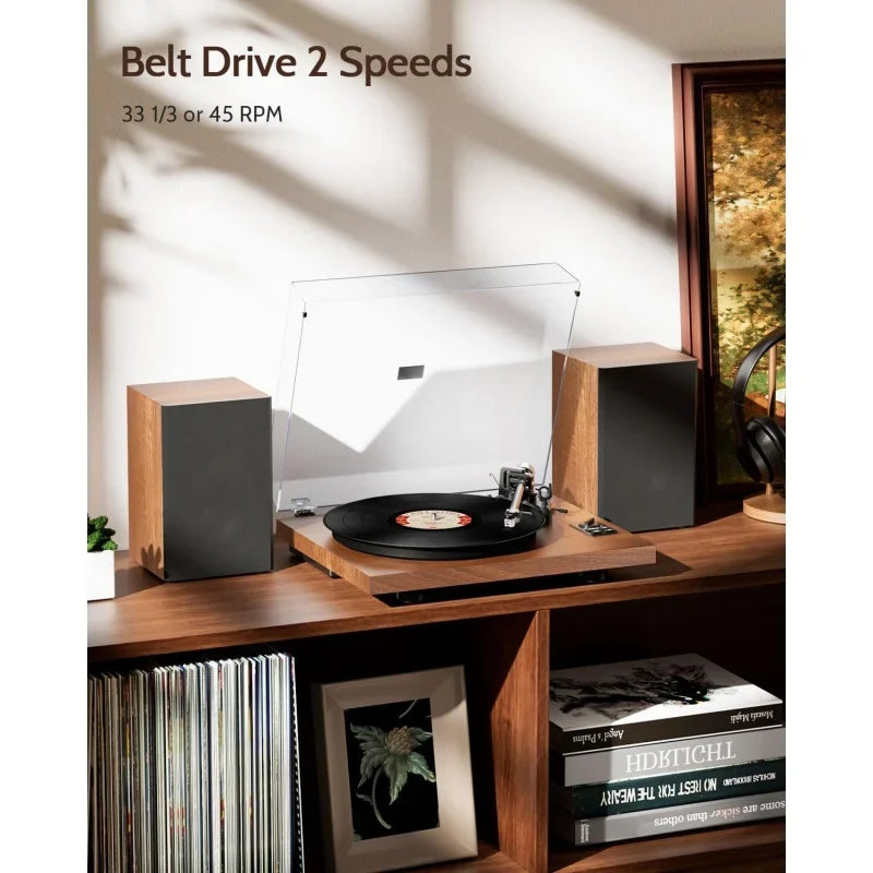  Turntable HiFi system in living room setup