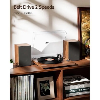 Turntable HiFi system in living room setup